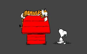 Snoopy Looking At Hobbes Wallpaper