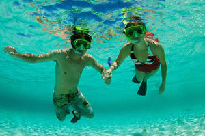Snorkeling Couple Date Wallpaper