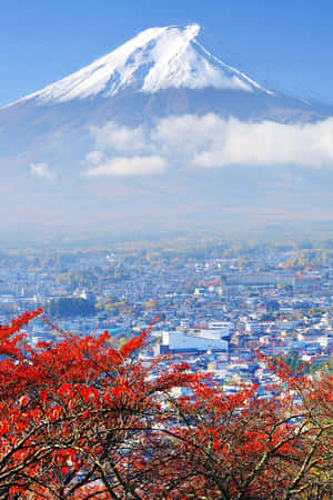Snow-covered Mount Fuji Wallpaper