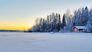 Snow, Field, Trees, Buildings Wallpaper