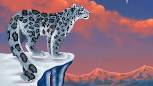 Snow Leopard Animal On Snowy Mountain Digital Art Wallpaper