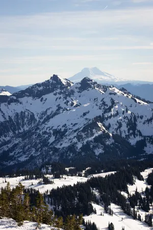 Snow Mountain Trees Top Iphone Wallpaper