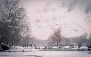 Snow, Nature, Sky Wallpaper