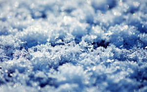 Snow, Surface, Snowfields Wallpaper