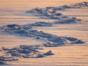 Snow, Traces, Light Wallpaper