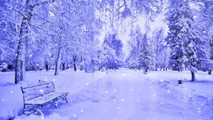 Snow Wallpaper - Wallpaper, High Definition, High Quality, Widescreen Wallpaper