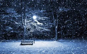 Snowfall Night Winter Desktop Wallpaper