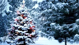 Snowy Christmas Tree On Forest Wallpaper
