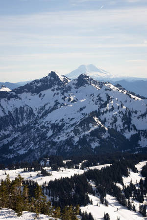 Snowy Forest And Mountain Iphone Landscape Wallpaper