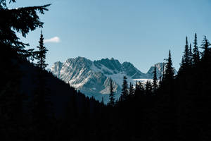 Snowy Mountain Dark Forest Wallpaper