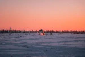 Snowy Tundra With Shrubbery Wallpaper