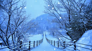 Snowy Winter Path For Laptop Wallpaper