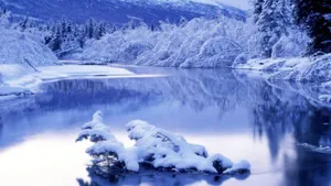 Snowy Winter Scene Wallpaper