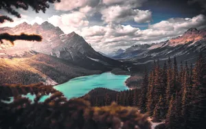 Soaring Above The Clouds Wallpaper
