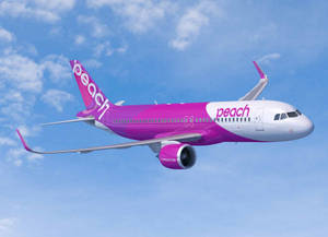 Soaring Peach Aviation Airplane Wallpaper