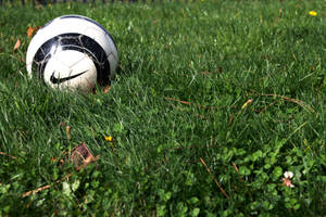 Soccer Ball, Nike, Grass Wallpaper