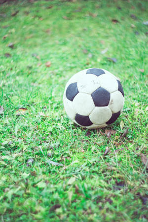Soccer Ball On Grass Wallpaper