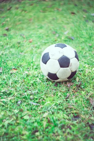 Soccer Ball On Grass Wallpaper