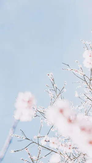 Soft And Smiling - Enjoy The Calm Of The Blue Sky With This Pastel Blue Aesthetic Iphone Wallpaper Wallpaper