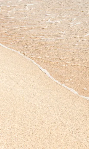 Soft Beige Seashore Wallpaper