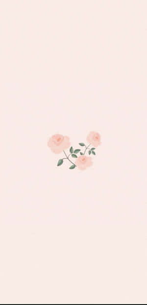 Soft Pink Roses Wallpaper