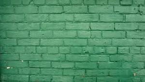 Solid Green Wallpaper Wallpaper