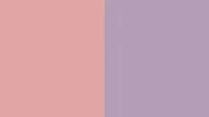 Solid Pastel Pink And Purple Wallpaper