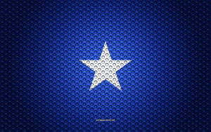 Somalia Dotted Texture Wallpaper