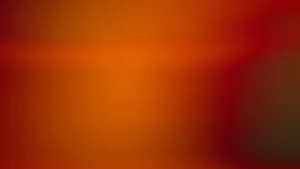 Soothing Aerial Beach View Wallpaper