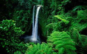 Sopoaga Falls Samoa Waterfall Desktop Wallpaper