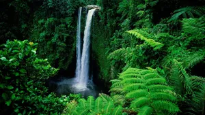 Sopoaga Waterfall Green Desktop Wallpaper