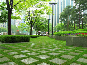 South Korea Green Park Wallpaper