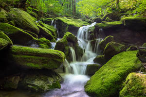 South Korea Waterfall Wallpaper