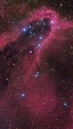Sparkles In Universe Iphone Wallpaper