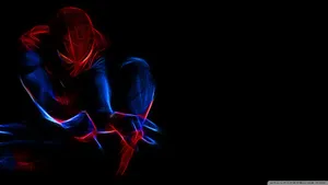 Spider Man Canvas Art Wallpaper