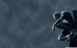 Spider Man In The Rain Wallpaper
