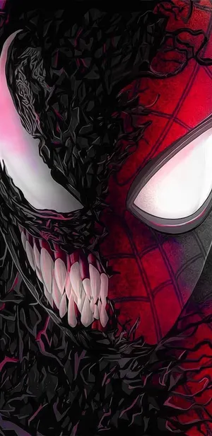Spiderman And Vemon Wallpaper