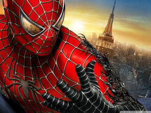 Spiderman And Vemon Wallpaper