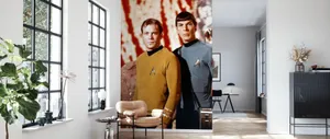 Spock And Captain Kirk Wallpaper
