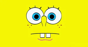 Spongebob Looking Cool In His Shades Wallpaper