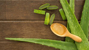 Spoon Of Aloe Vera Gel Wallpaper