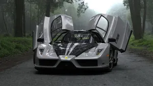 Sports Car Gray Enzo Ferrari Wallpaper