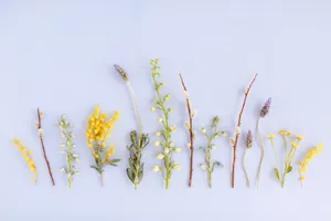 Spring Aesthetic Desktop [wallpaper] Wallpaper