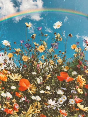 Spring Aesthetic Rainbow Wallpaper