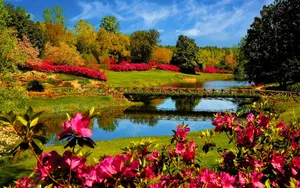Spring Desktop Flower River Landscape Wallpaper