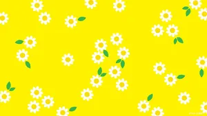 Spring Desktop White Flower Pattern Wallpaper