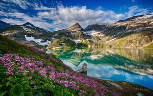 Spring Mountains With Flowers Wallpaper