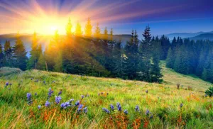 Spring Season Sunrise Wallpaper