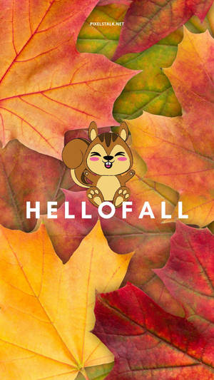 Squirrel Hello Fall Iphone Wallpaper