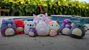 Squishmallows Toys Near Pool Wallpaper